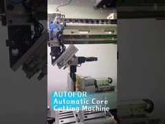 Automatische Snijmachine