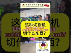 Wat snijdt deze snijmachine?