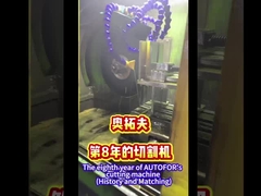 De achtste-jaars snijmachine van AUTOFOR