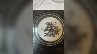 Heeft snijvloeistof antiroesteigenschappen? Hoe het te testen?